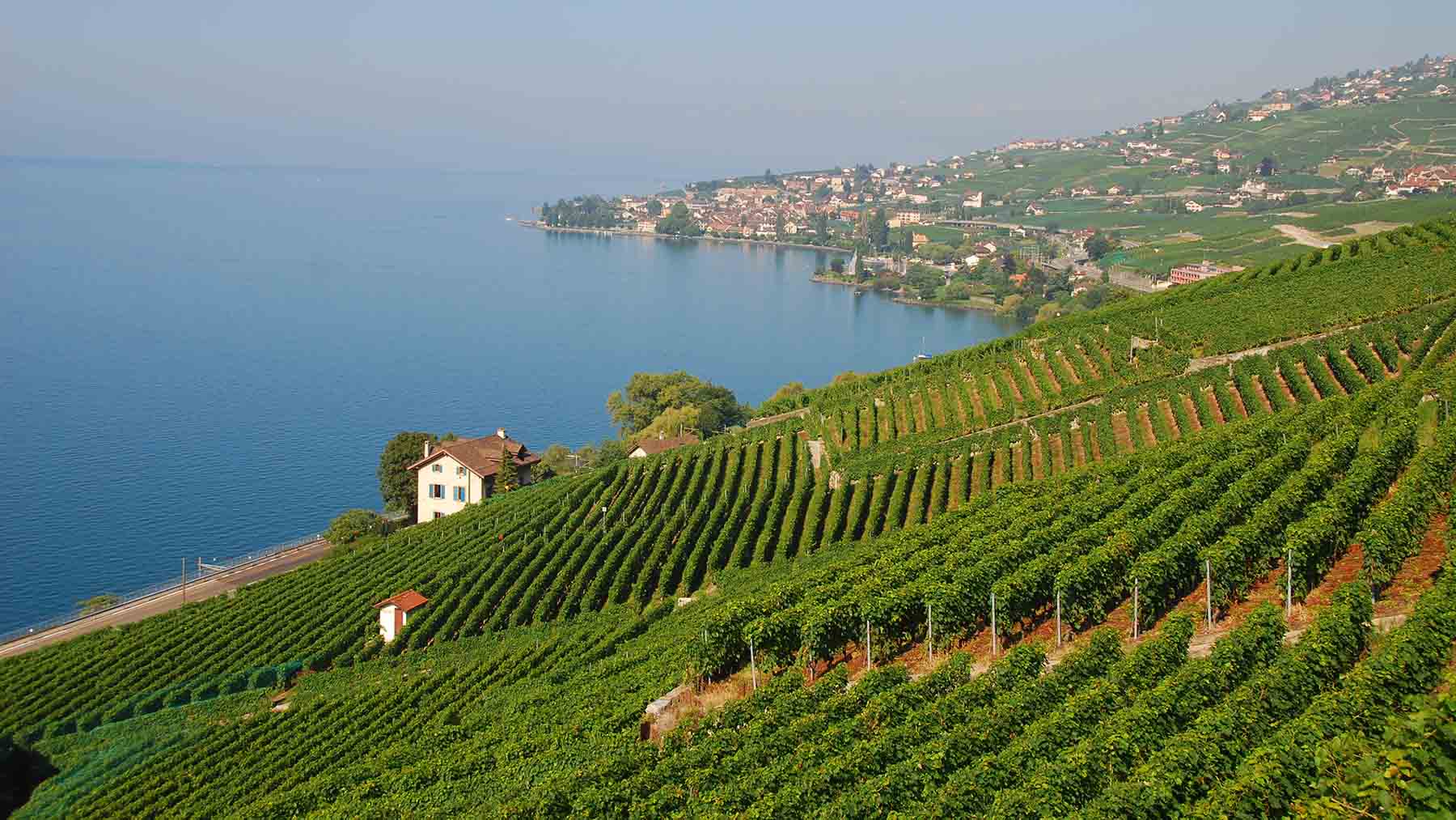 Lavaux, Switzerland