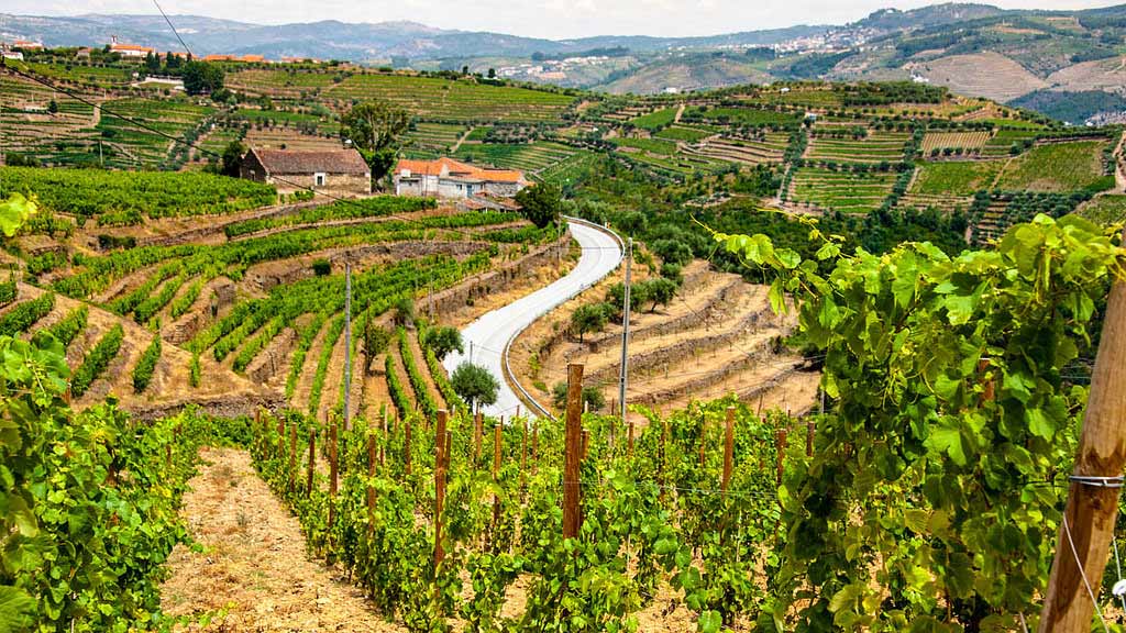 Alto Douro, Portugal