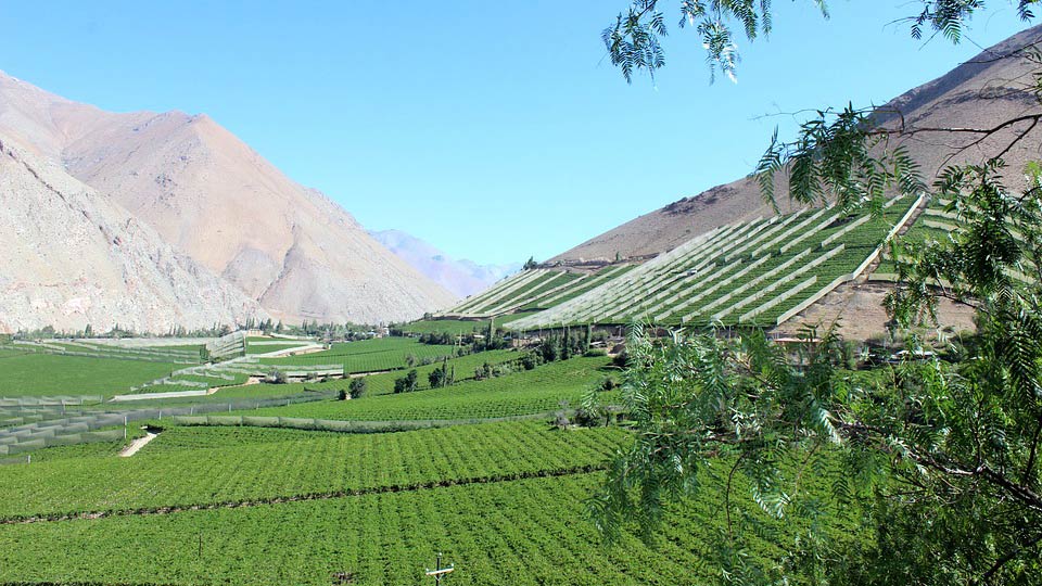 Valle del Elqui, Chile