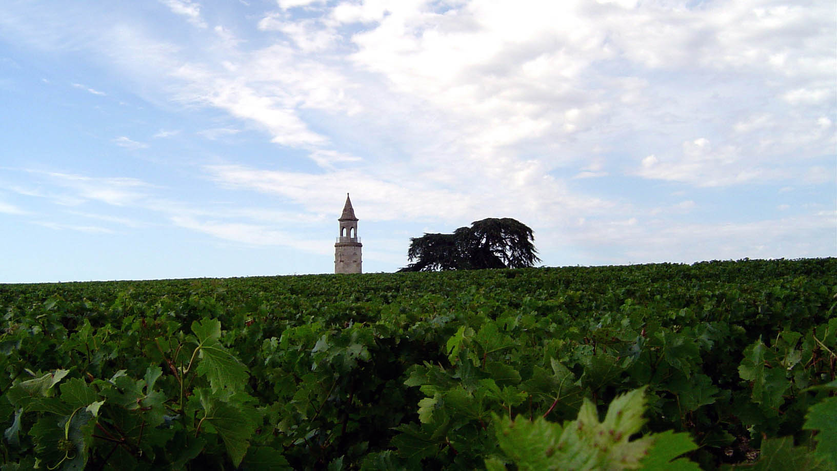 Médoc, France