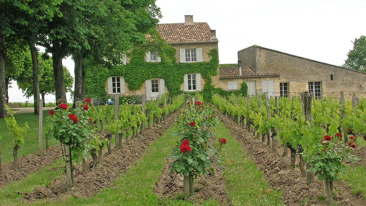 22. Saint-Emilion, France