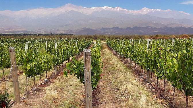 16. Mendoza, Argentina