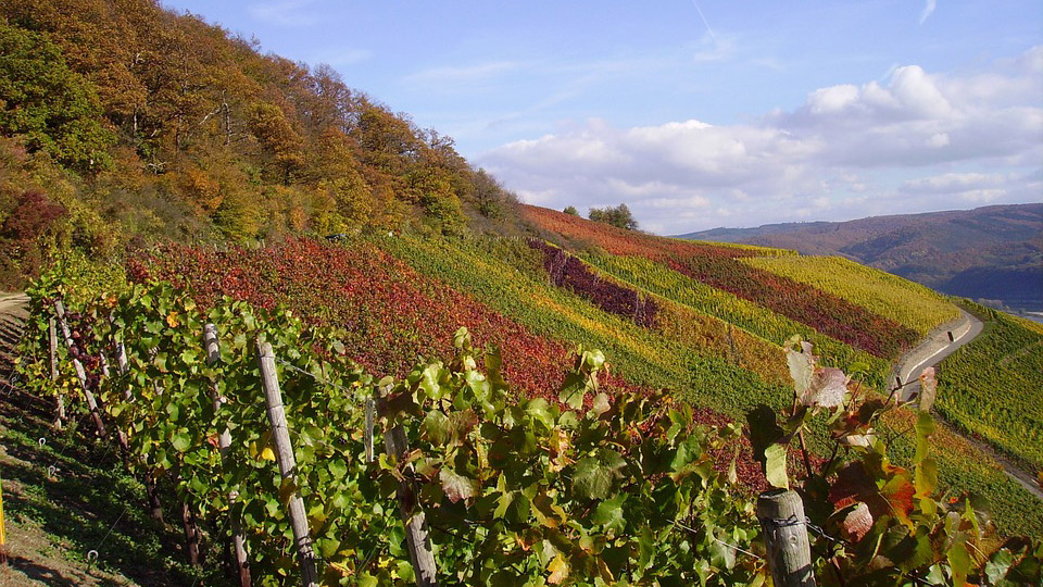 20. Mittelrhein, Germany